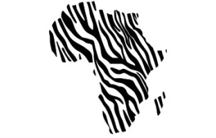Africa - Zebra Print