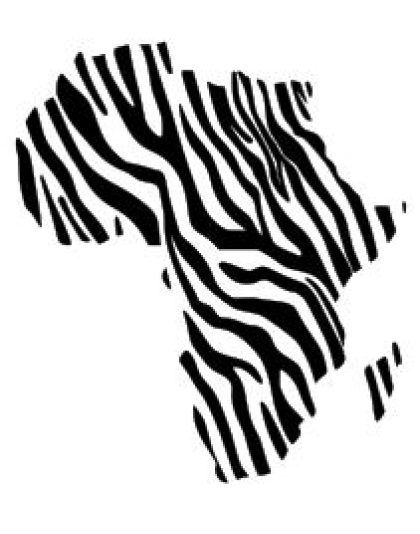 Africa - Zebra Print