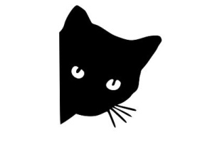 Cat Peeking Face