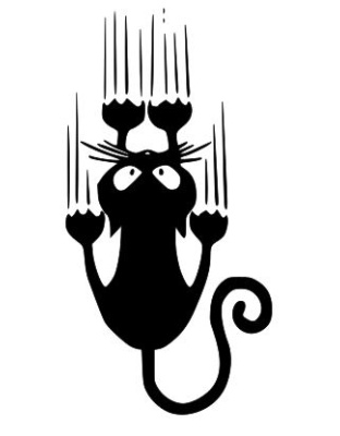 Cat Sliding