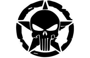 US Star Skull