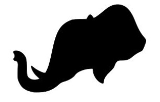 Elephant Head (Facing Left)