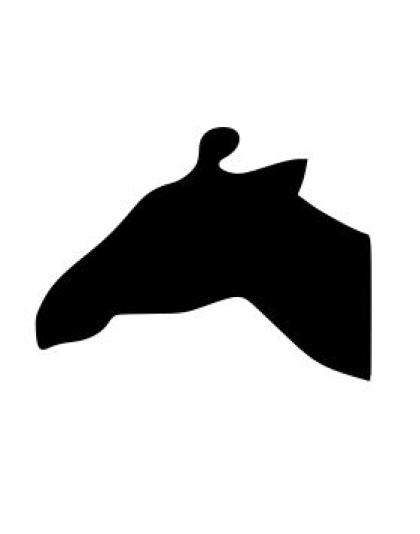 Giraffe Head (Facing Left)