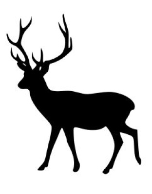 Antelope