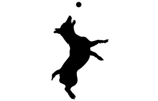 Dog Jumping For Ball