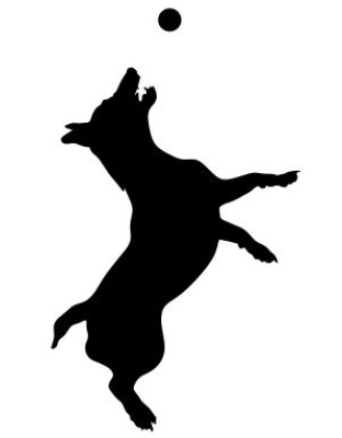 Dog Jumping For Ball