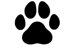 Dog Paw