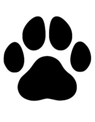 Dog Paw
