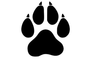 Dog Paw With Toenails