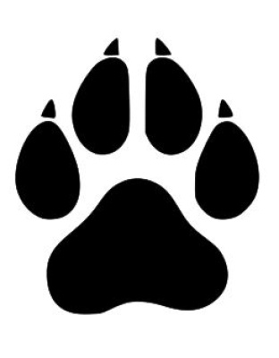 Dog Paw With Toenails