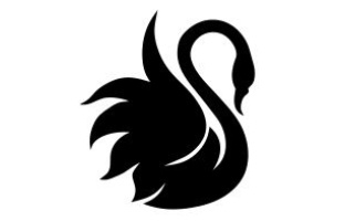 Swan