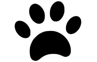 Cat Paw