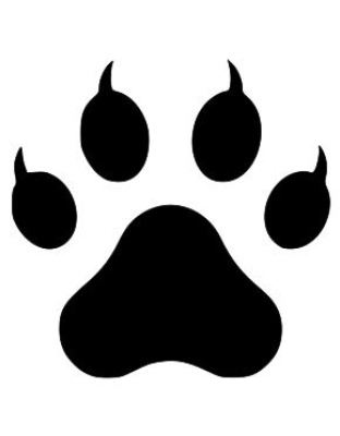 Cat Paw With Toenails