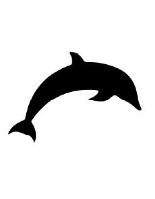 Dolphin