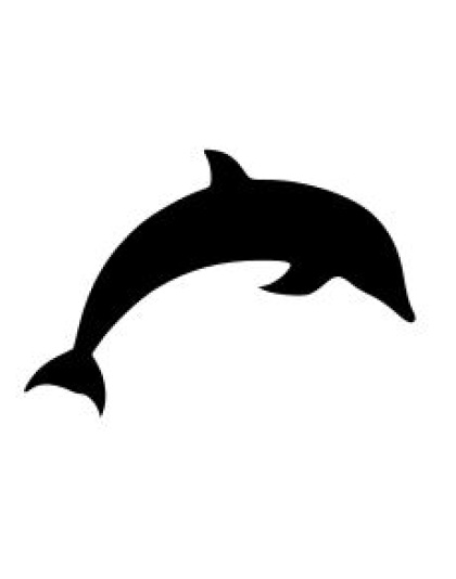 Dolphin