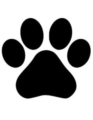 Dog Paw