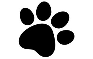 Dog Paw