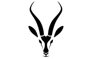 Bok