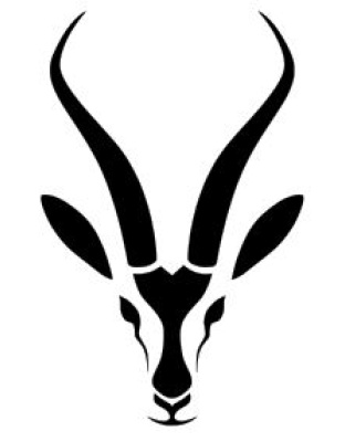 Bok