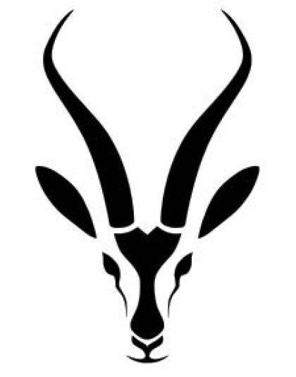 Bok