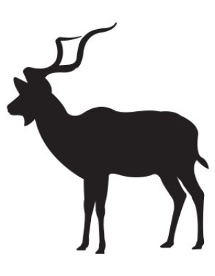 Kudu