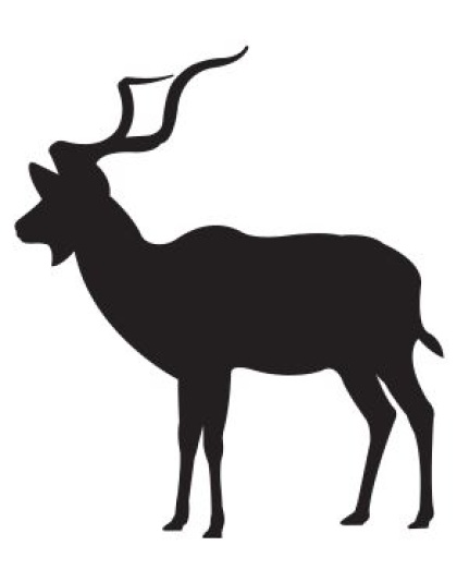 Kudu