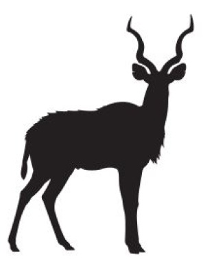 Kudu