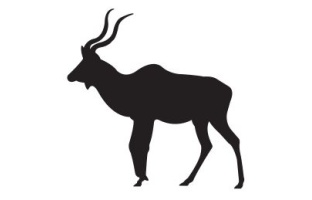 Kudu