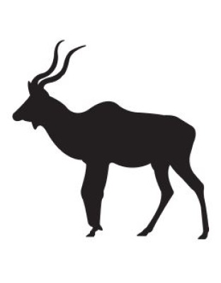 Kudu