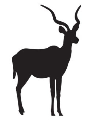 Kudu