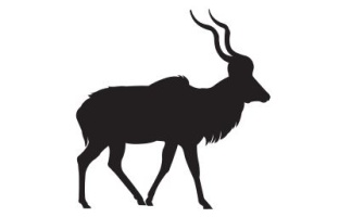 Kudu