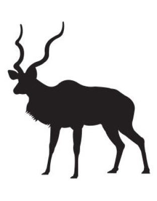 Kudu