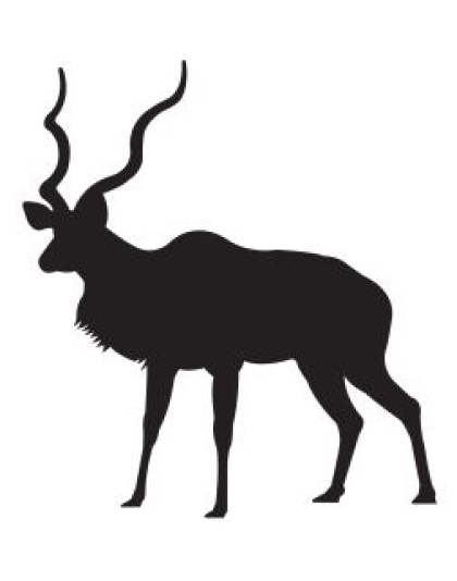 Kudu