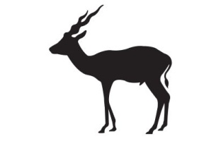 Kudu