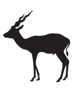 Kudu