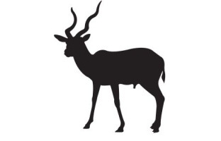 Kudu