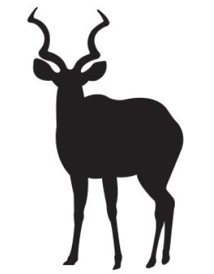 Kudu