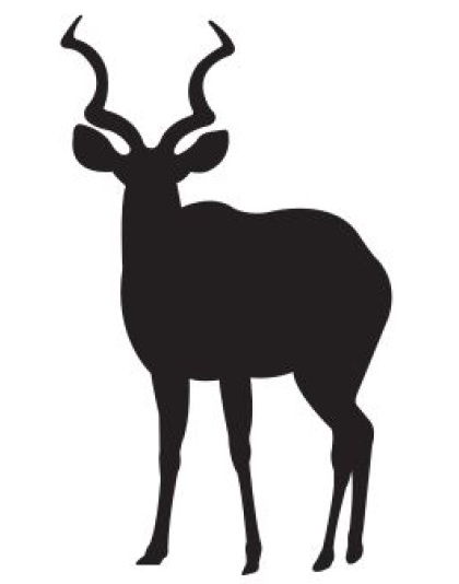 Kudu
