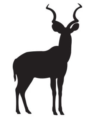 Kudu
