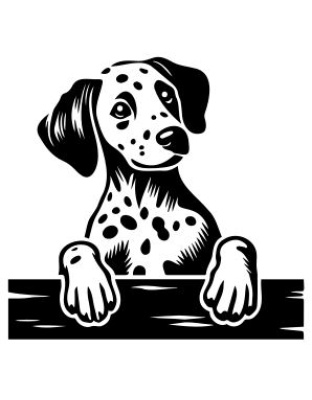 Peeking Dog