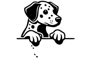 Peeking Dog
