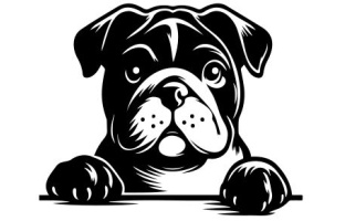 Peeking Dog