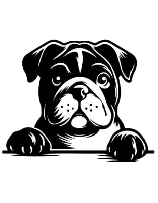 Peeking Dog