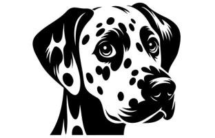 Peeking Dog