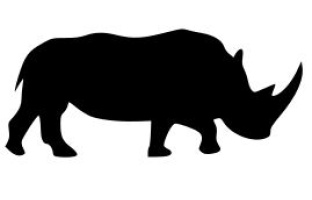Rhino