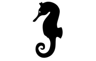 Seahorse