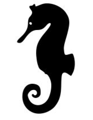 Seahorse