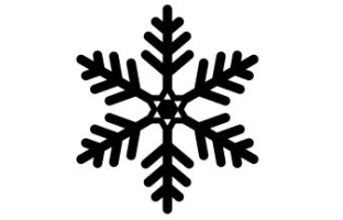 Snowflake