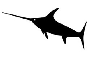 Swordfish
